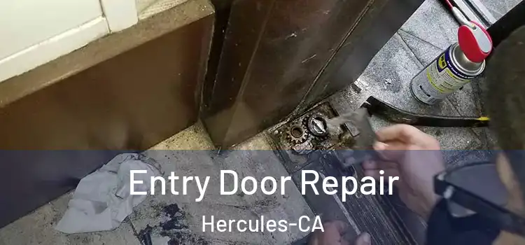  Entry Door Repair Hercules-CA