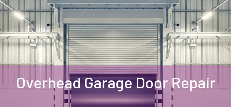  Overhead Garage Door Repair 